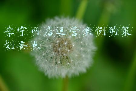 李宁网店运营案例的策划要点