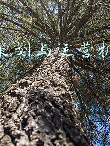 营销策划与运营机构推手