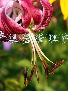 生产运营包括哪些内容(企业各类风险概括)