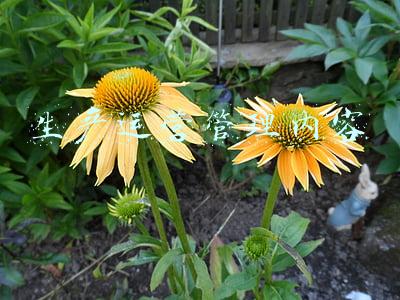 生产运营工作内容(镇海炼化原油加工量创新高 每月纳税近20亿元)