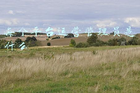 平台管理员主要做什么(人社部发布“带货主播”职业标准：选品员等四个工种出炉)