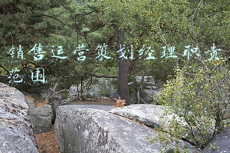 销售运营策划经理职责范围