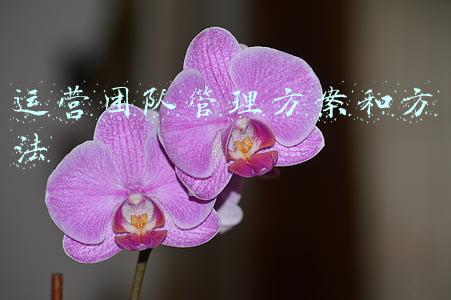 团队管理方案和方法(团队管理的10个思路「管理者必读」)