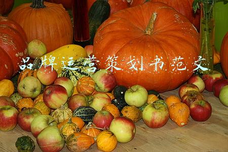 品牌运营策划书范文