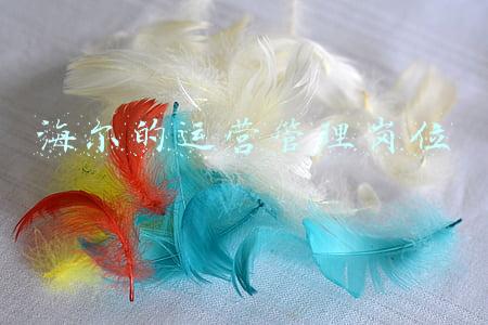 海尔的运营管理岗位