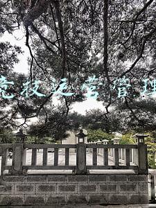 电子竞技运营管理大学