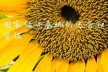国家储煤基地的运营和管理