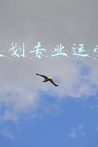 销售策划专业运营店靠谱吗