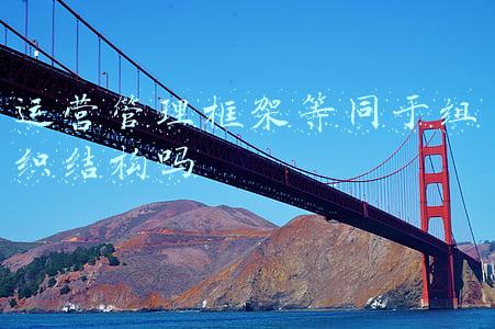 运营管理框架等同于组织结构吗