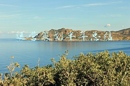 运营部半年工作总结及下半年工作计划(邮政xx分公司2021年度工作情况总结，内容充实，结构精巧)