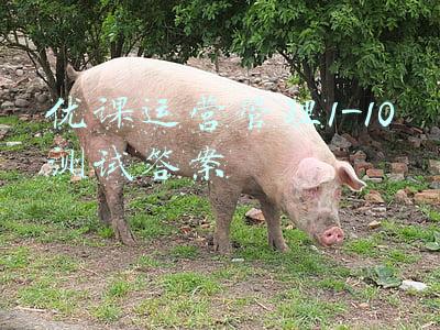 易班优课答案(湖南工学院易班优课活跃度增量位列全国高校第三、全省第二)