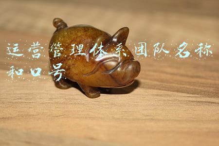 项目管理团队管控体系(浅议项目管理的结构化思维（培养和历练管理团队基本工作方法）)
