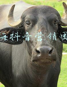 上海团队建设(上海：爱警惠警出实招 提升队伍战斗力)