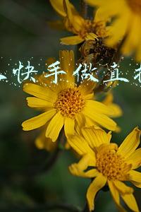 普通人炒股能赚钱吗(“普通人”到底能不能通过炒股赚到钱？)