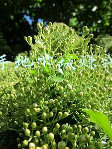 地下城与勇士搬砖赚钱(DNF：搬砖总动员，三种主流搬砖方式如何抉择？)