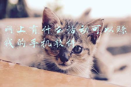手机网上值机软件(“ｉ深圳”APP在手，用手机就能值机选座，超方便！)