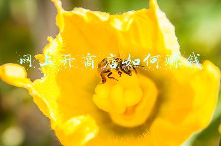 网上开商店如何赚钱