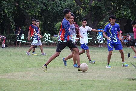 运营总监半年工作总结(资深财务总监工作经验大总结，给财务小白呕心沥血说建议)