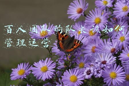 百人团队(百人团队两年研发，澎湃复活背后，小米自研芯片的野心)