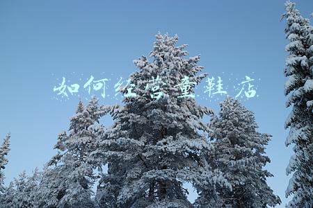 如何经营童鞋店新手 新手如何开好童鞋店