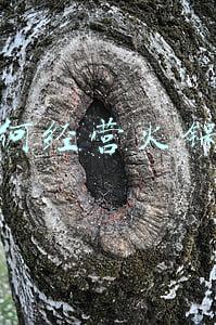如何开一家火锅店0开始（如何开一家火锅店）