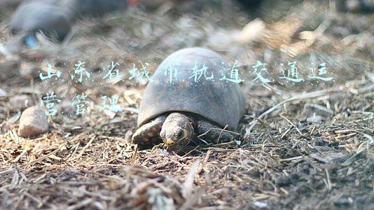 山东省城市轨道交通运营管理
