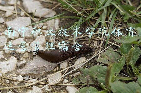 南宁职业技术学院体育运营管理宿舍