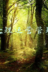 污水处理厂运营模式(污水处理厂废水运营技术总结)