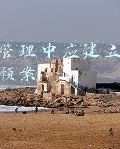 运营管理中应建立哪些应急预案
