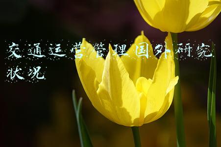 国外智慧交通发展现状(在“新基建”的风口下，2022年智慧交通该驶向何方)