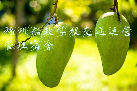 福州船政学校交通运营管理宿舍