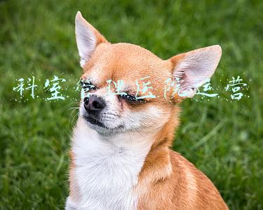 科室管理医院运营
