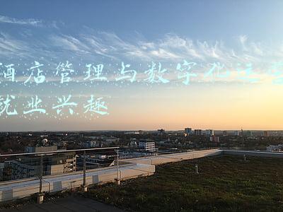 酒店管理与数字化运营就业兴趣