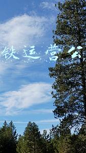 武汉地铁运营公司管理岗位