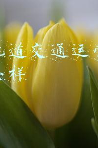 城市轨道交通运营管理待遇怎样