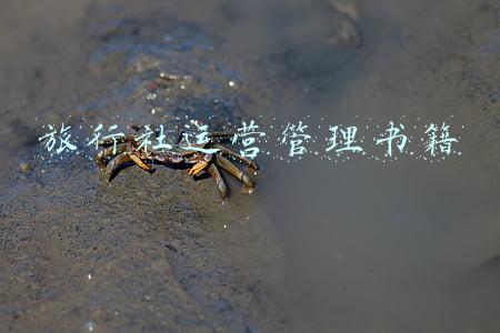 旅行社经营与管理计划书(国务院关于印发“十四五”旅游业发展规划的通知)