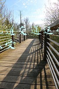 学了轨道交通运营与管理的感受