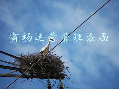 商场运营管理方面 商场运营管理方面