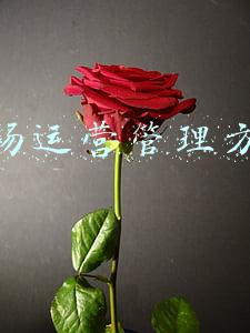 商场运营管理内容(市场角逐愈加激烈，购物中心运营的N个“吸金”法则)