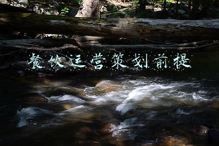 餐饮运营策划岗位职责(8家企业正招人！提供38个岗位，福利、要求速看)