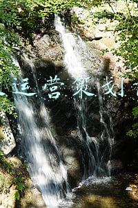 餐饮运营策划前提
