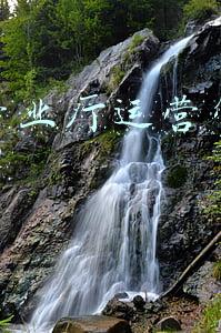 供电营业厅运营管理规范学习