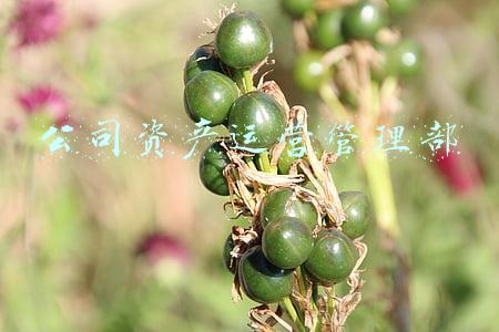 公司资产部岗位职责(公司企业财务部工作职能)