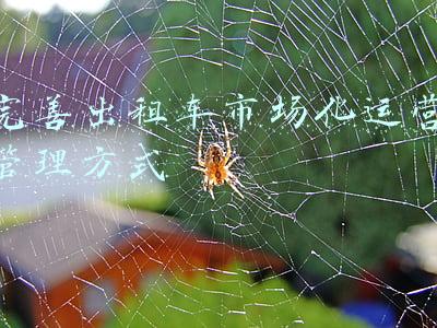 出租车企业营运车辆管理制度(《关于进一步加强轻型货车、小微型载客汽车生产和登记管理工作的通知》解读)