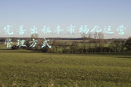 利马的出租车计价方式(利马街头的十件奇葩事儿)