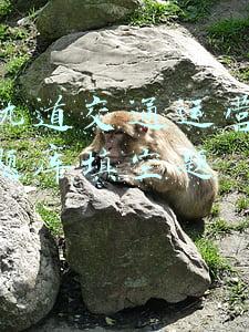 城市轨道交通运营安全管理题库填空题