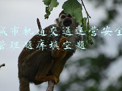 城市轨道交通运营安全管理题库填空题