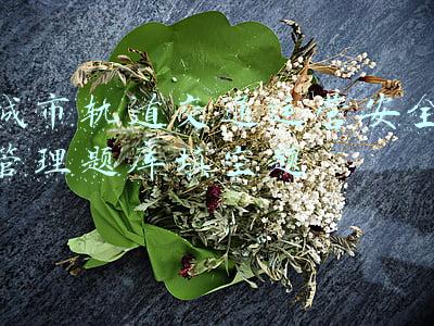 城市轨道交通运营安全管理教案(幼儿园大班教案《乘地铁》)