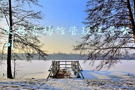 家体育场馆管理运营公司