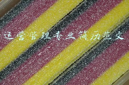运营总监简历范文(厦门吉比特网络技术股份有限公司 关于董事会换届选举的公告)